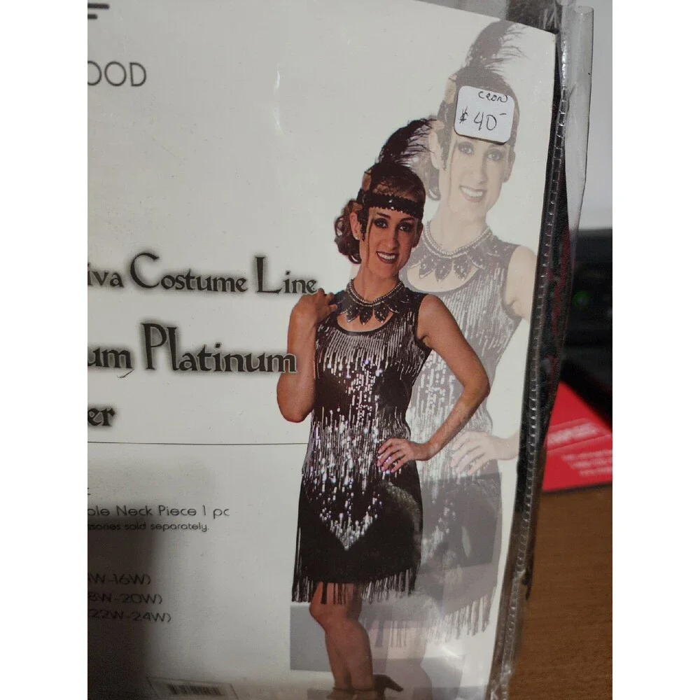 XX4458 BkPremium Platinum Flapper Dress Size 14w-16w Costume Sunnywood